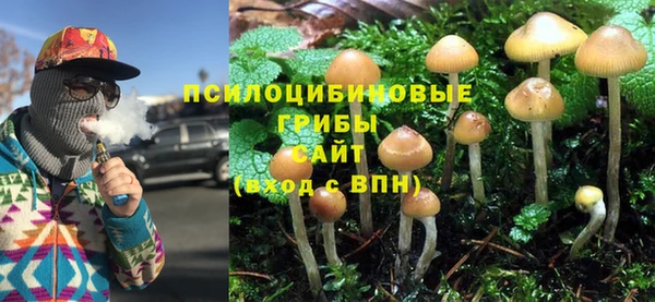 соль ск Алзамай
