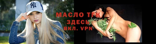 соль ск Алзамай