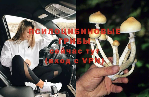 соль ск Кодинск