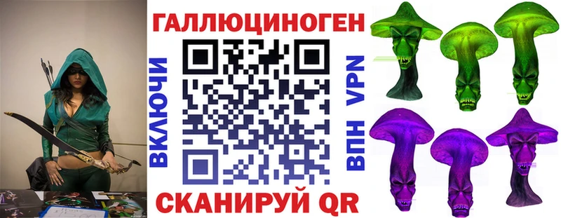 Галлюциногенные грибы Psilocybe  Череповец 
