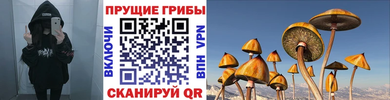 Псилоцибиновые грибы Magic Shrooms Череповец